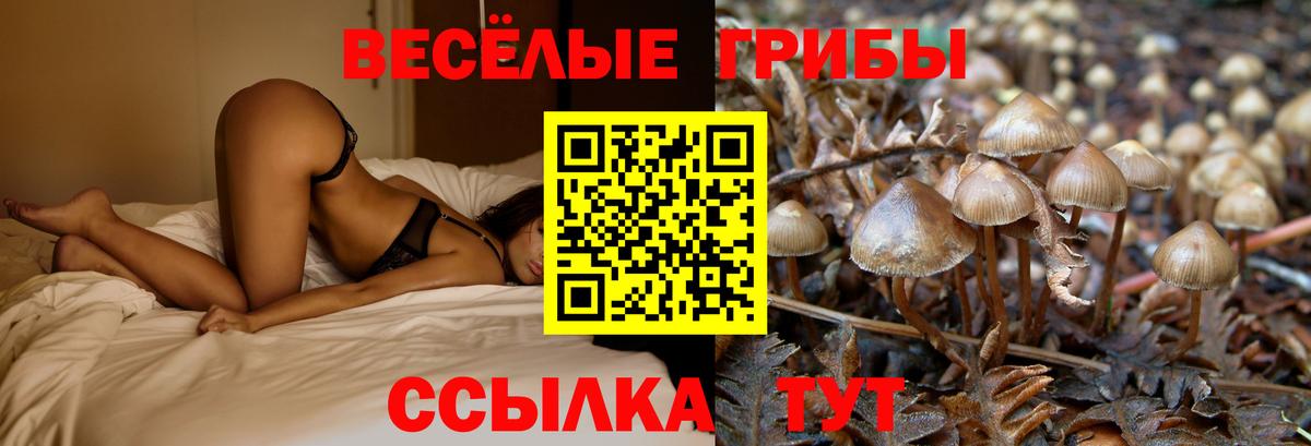 Бахчисарай  Галлюциногенные грибы мицелий  Вход с VPN  Галлюциногенные грибы Psilocybine cubensis 